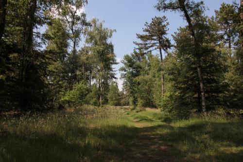 Natuur